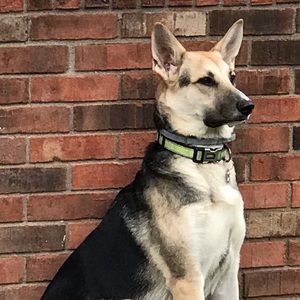 Meet your Posher, Steven